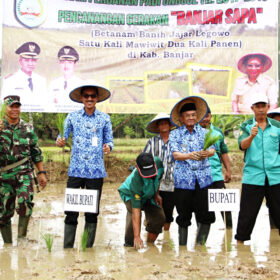 Potensi Pertanian Kabupaten Banjar