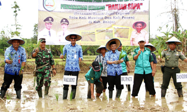 Potensi Pertanian Kabupaten Banjar